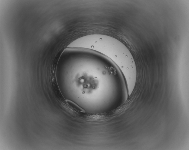 X0000113360237200909151241