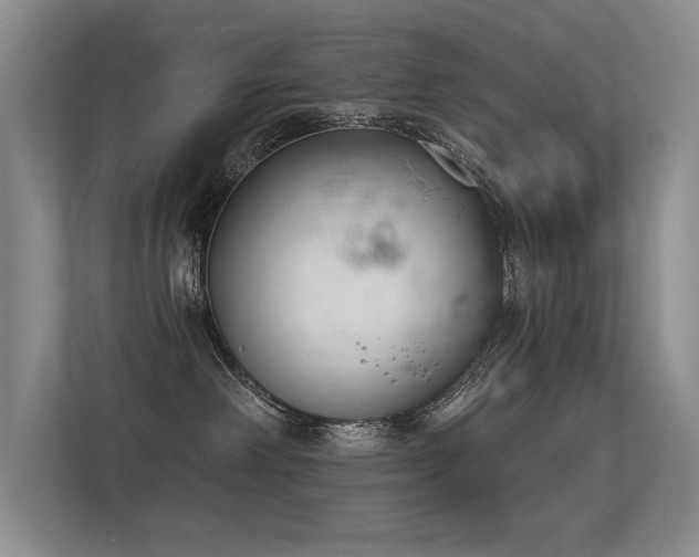X0000113360238200909151241