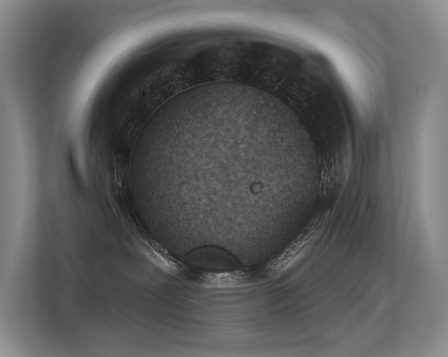 X0000113360239200909151241