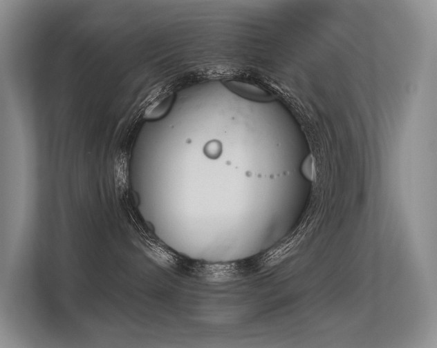 X0000113360240200909151241