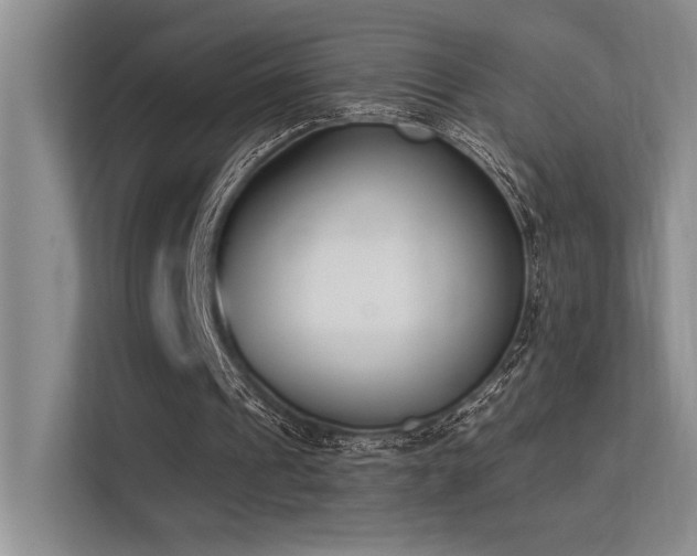 X0000113360241200909151241