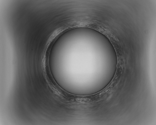 X0000113360242200909151241