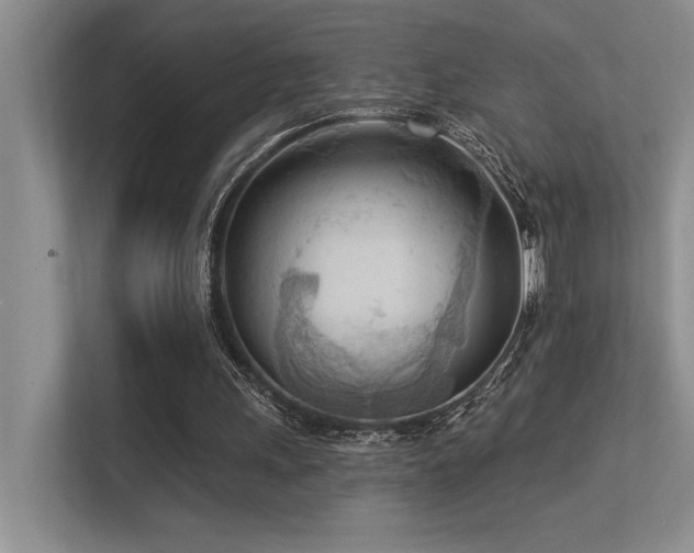 X0000113360243200909151241