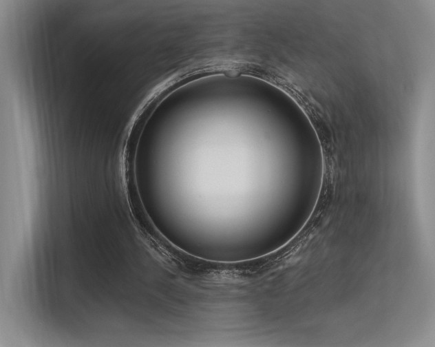 X0000113360244200909151241