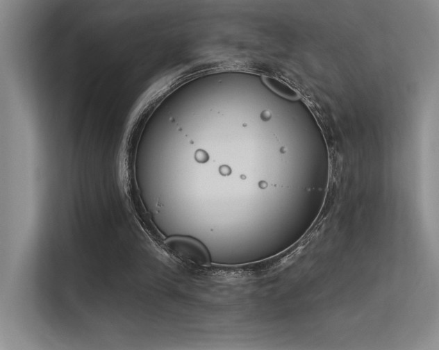 X0000113360245200909151241