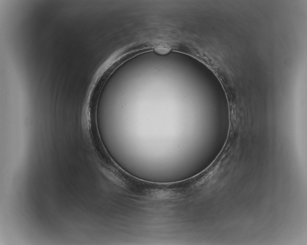 X0000113360246200909151241