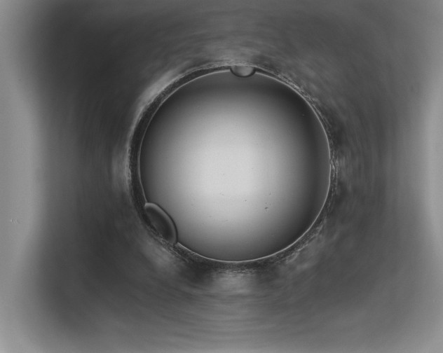 X0000113360248200909151241