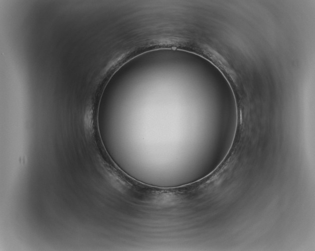 X0000113360249200909151241