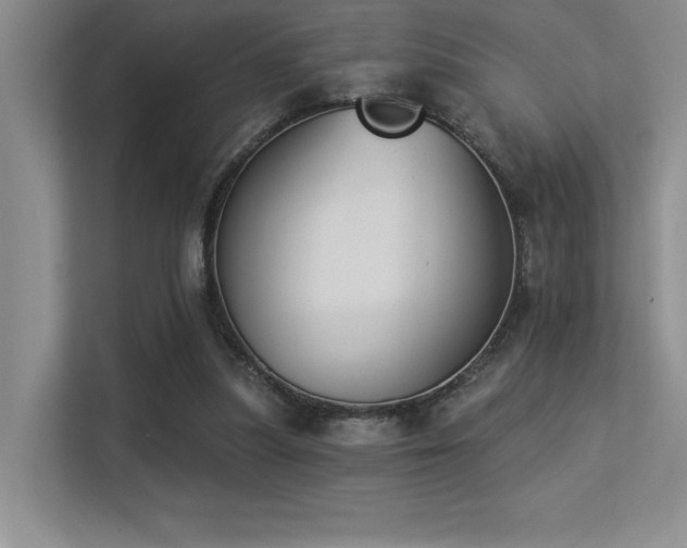 X0000113360251200909151241