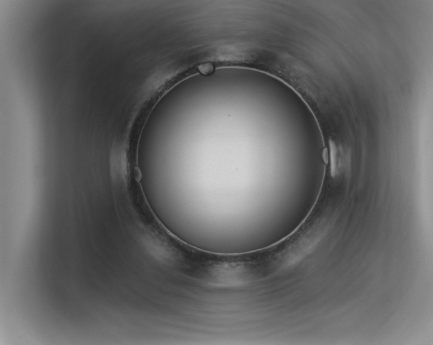 X0000113360252200909151241