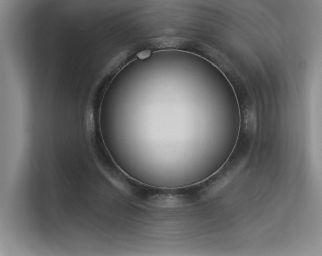 X0000113360254200909151241