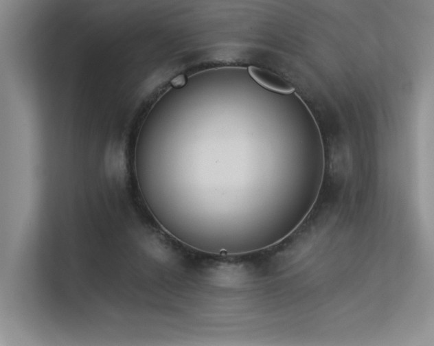 X0000113360256200909151241