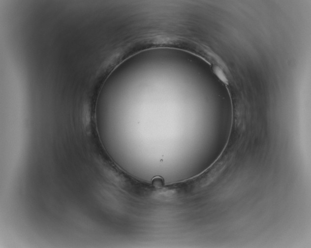X0000113360257200909151241