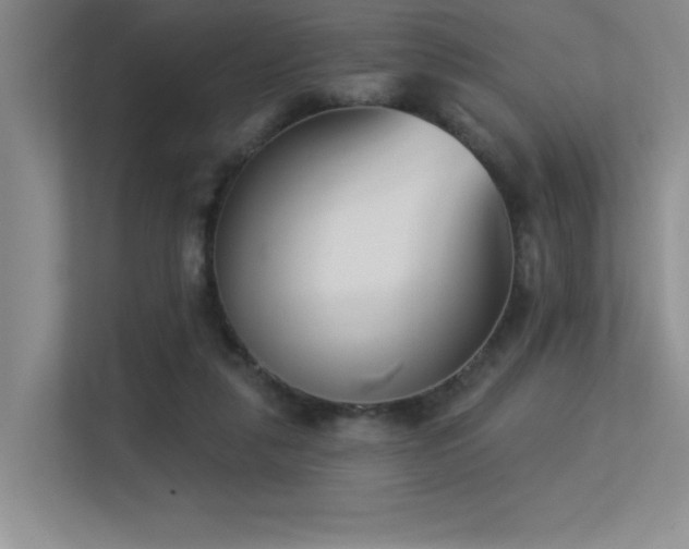 X0000113360259200909151241