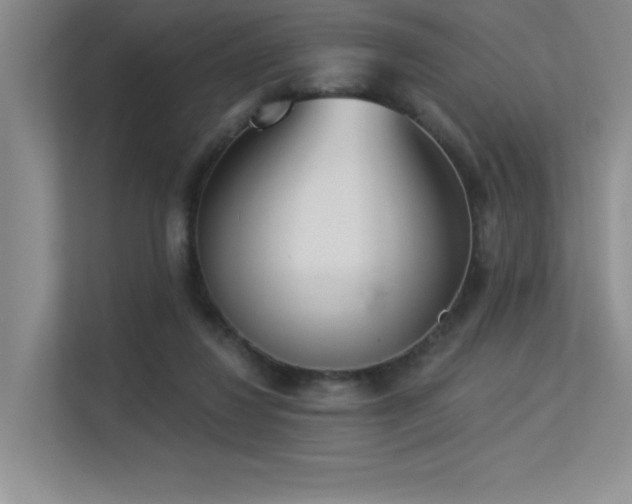 X0000113360260200909151241