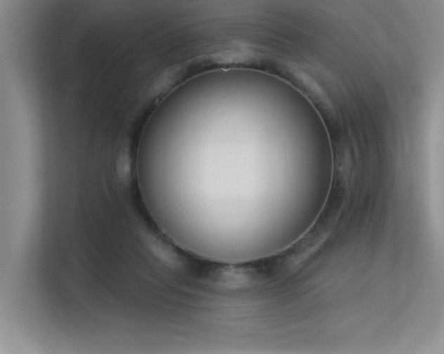 X0000113360261200909151241