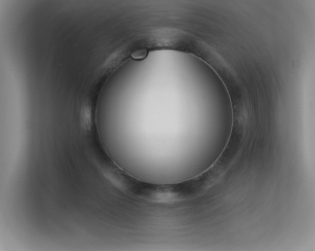 X0000113360262200909151241
