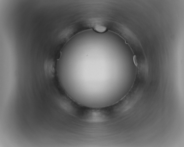 X0000113360264200909151241