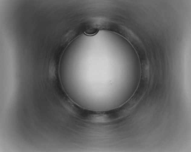 X0000113360266200909151241