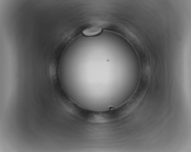 X0000113360268200909151241