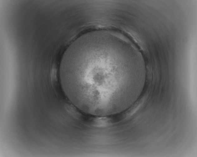 X0000113360269200909151241