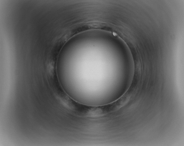 X0000113360271200909151241