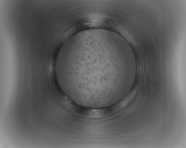 X0000113360277200909151241