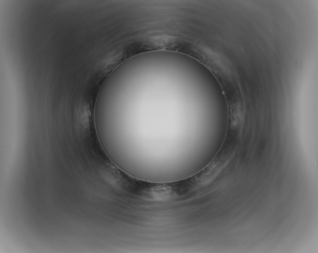 X0000113360279200909151241