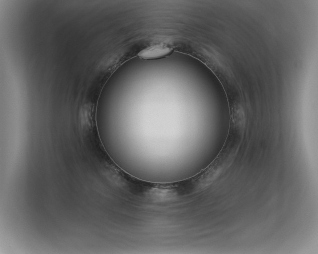 X0000113360280200909151241