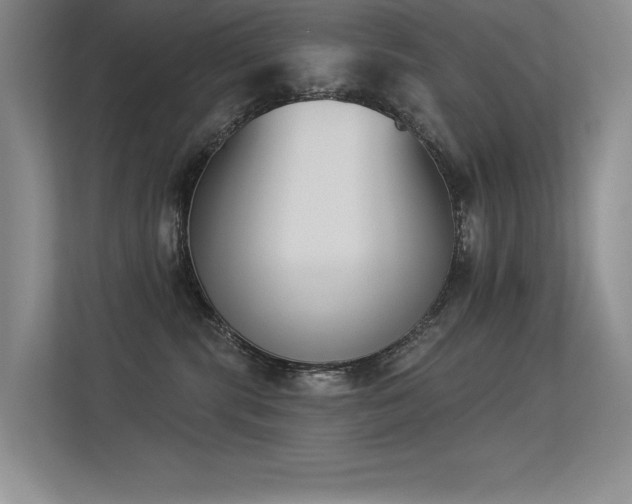 X0000113360283200909151241