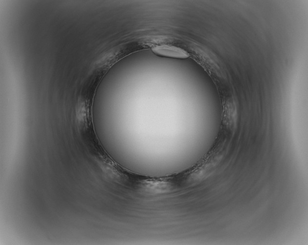 X0000113360284200909151241