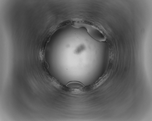 X0000113360285200909151241