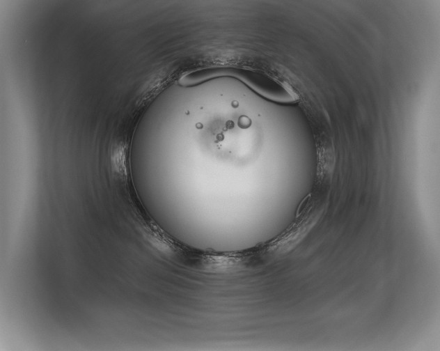 X0000113360286200909151241