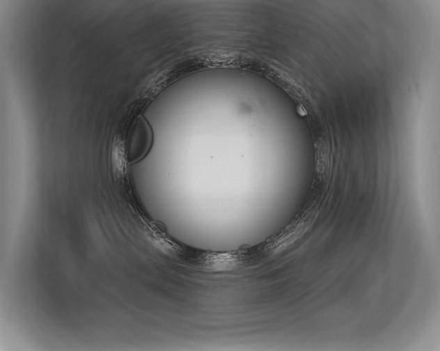 X0000113360287200909151241