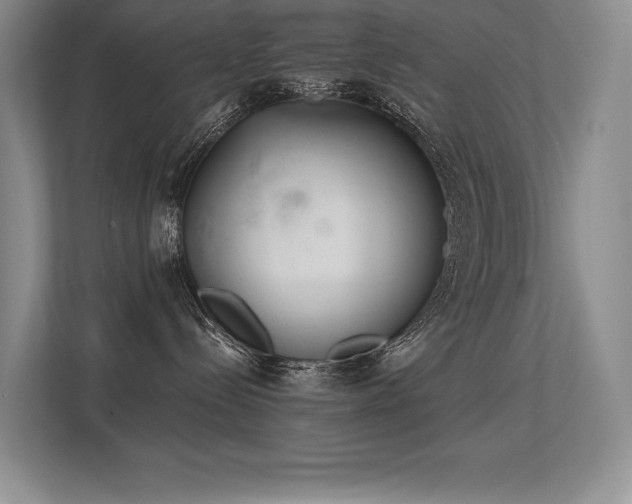 X0000113360288200909151241