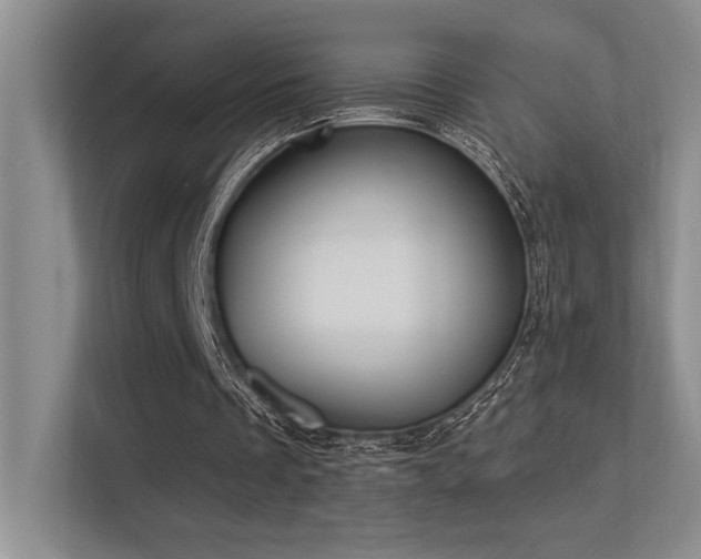 X0000113360289200909151241