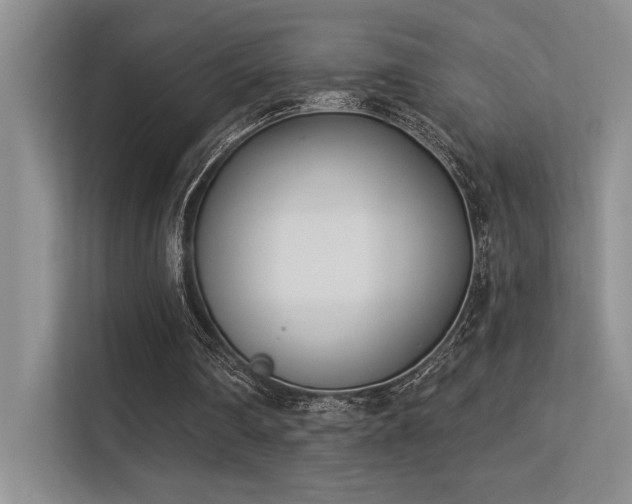 X0000113360290200909151241