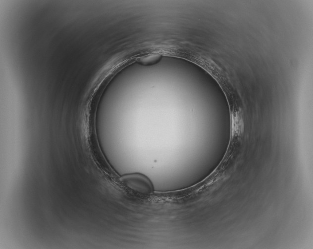 X0000113360291200909151241