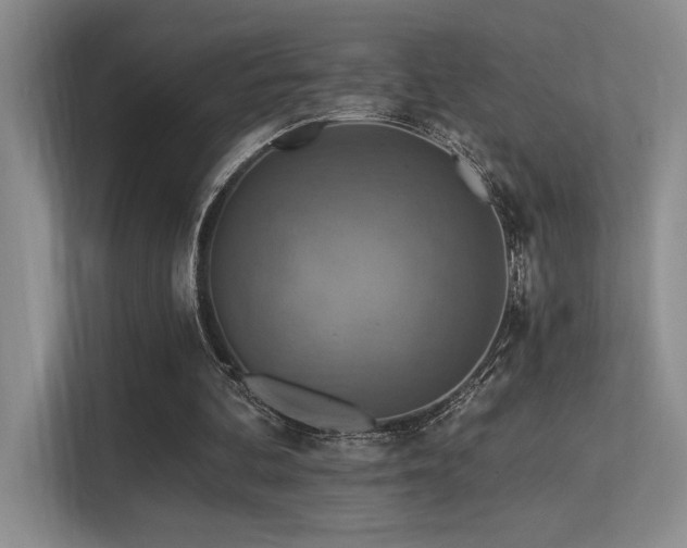 X0000113360292200909151241