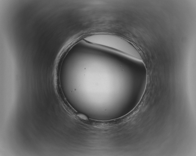 X0000113360293200909151241
