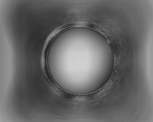 X0000113360294200909151241