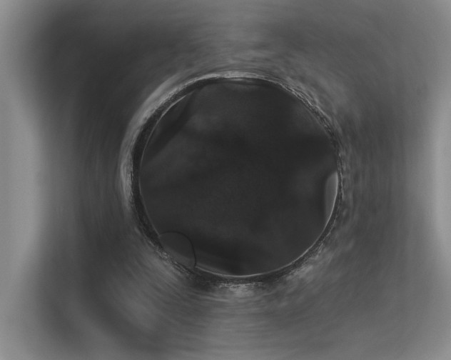 X0000113360295200909151241