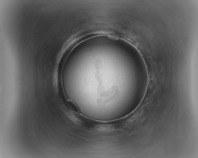 X0000113360296200909151241