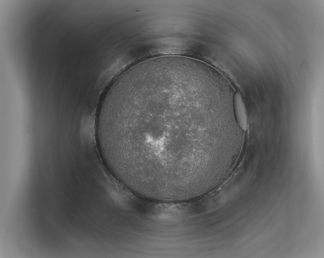 X0000113360297200909151241