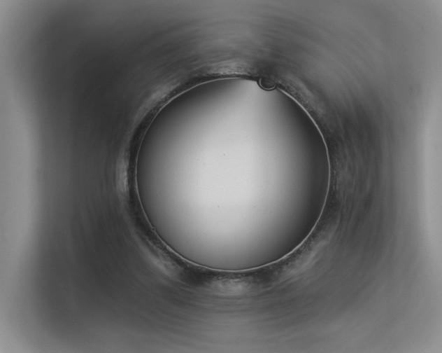 X0000113360299200909151241