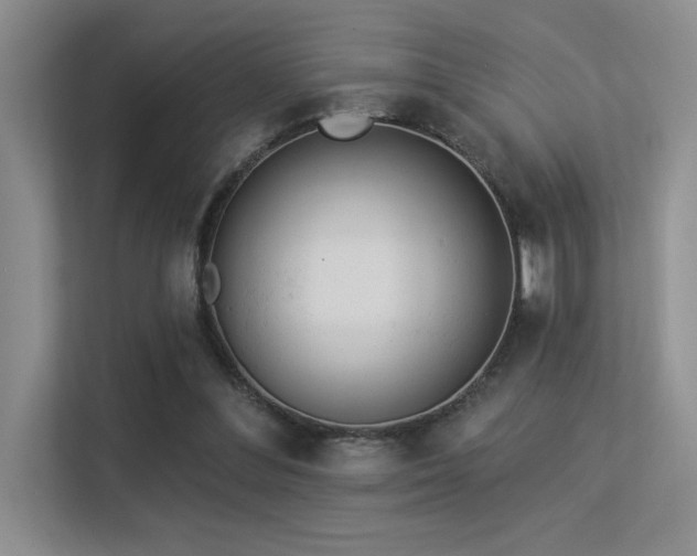 X0000113360300200909151241