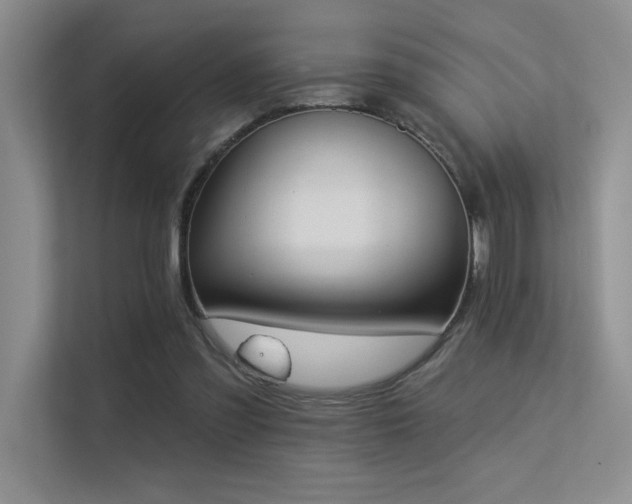 X0000113360301200909151241