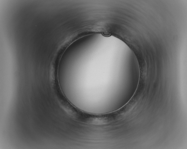 X0000113360303200909151241