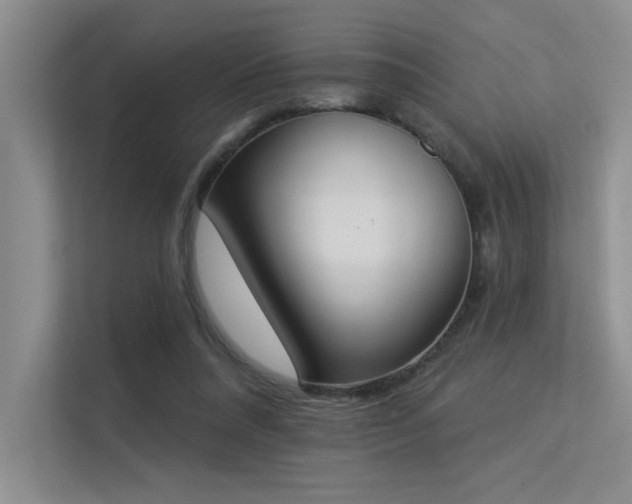 X0000113360304200909151241
