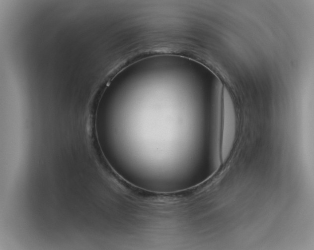 X0000113360305200909151241